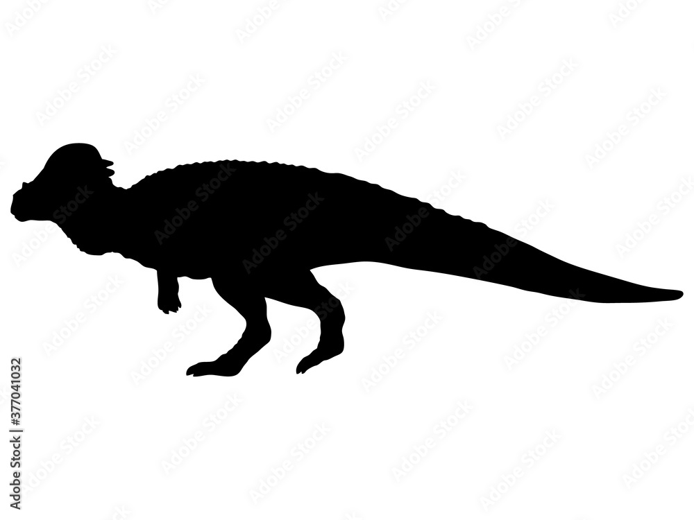 パキケファロサウルス_シルエット