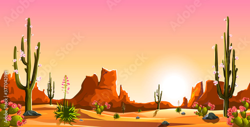 Blooming cacti of the Mexican desert. Mexican desert. Blooming cacti. The mountains. Sunset. Landscape. Saguaro cactus
