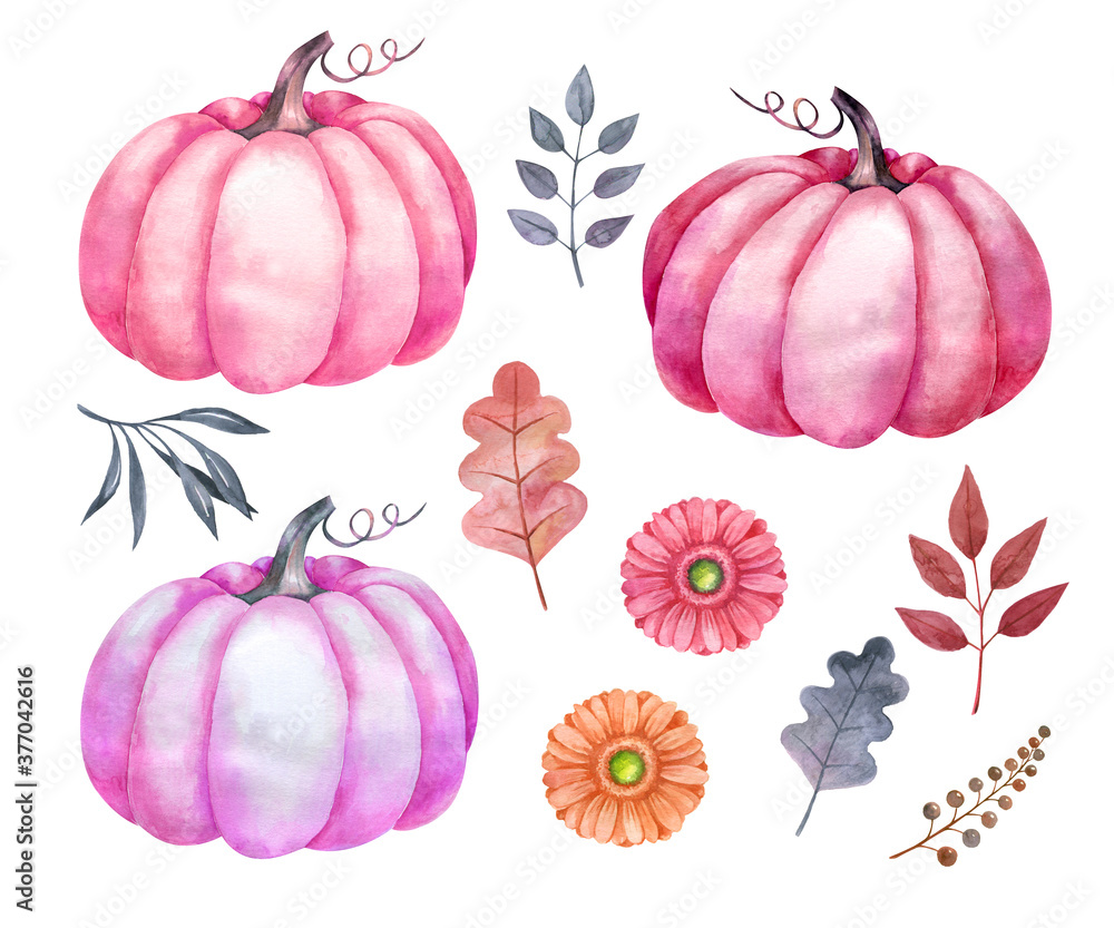Watercolor pink pumpkins with floral decoration flowers