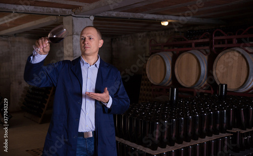 Wine producer inspecting quality of red wine, standing in front of barrels in cellar photo