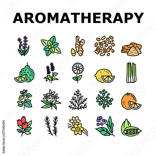 Aromatherapy Herbs Collection Icons Set Vector. Lavender And Peppermint, Ginger And Frankincense, Patchouli And Chamomile Aromatherapy Color Contour Illustrations