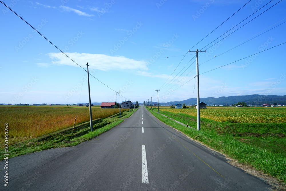 北海道　富良野の一本道