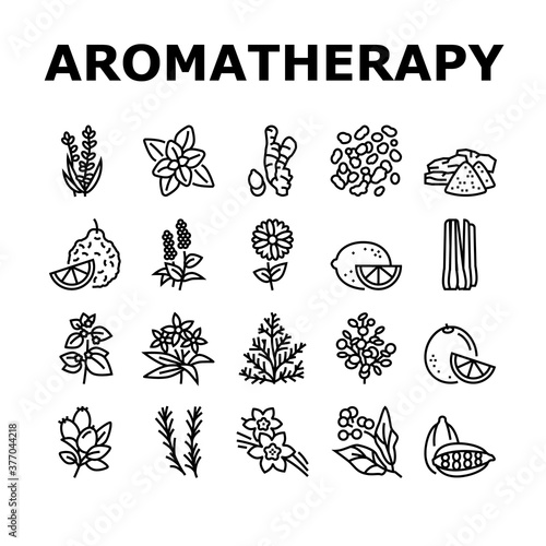 Aromatherapy Herbs Collection Icons Set Vector. Lavender And Peppermint, Ginger And Frankincense, Patchouli And Chamomile Aromatherapy Black Contour Illustrations