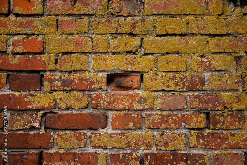 Macro texture of a beautiful red brickwork.