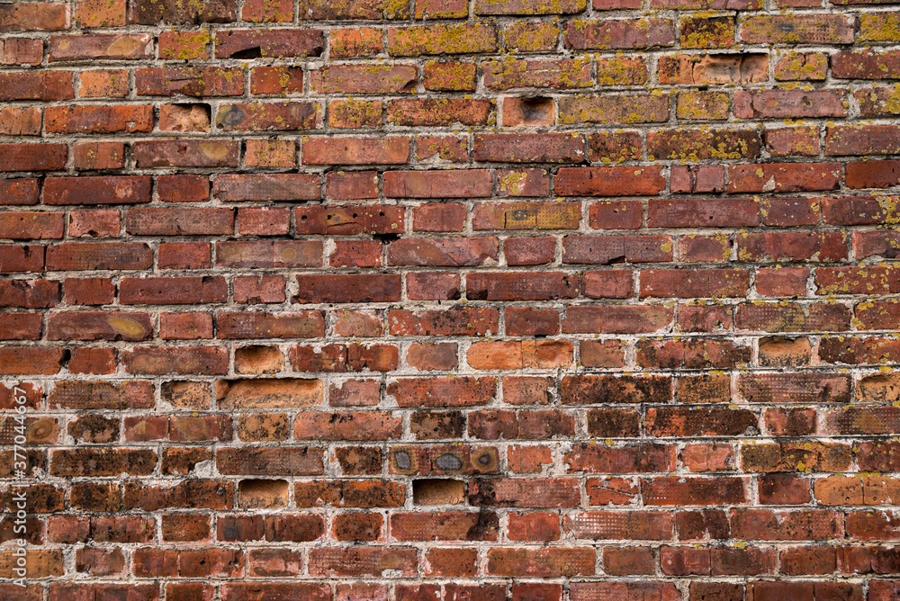 Macro texture of a beautiful red brickwork.