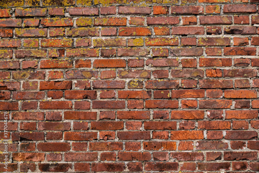 Macro texture of a beautiful red brickwork.
