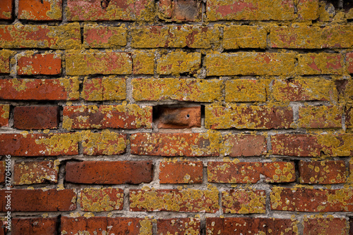 Obraz na płótnie Macro texture of a beautiful red brickwork. w salonie