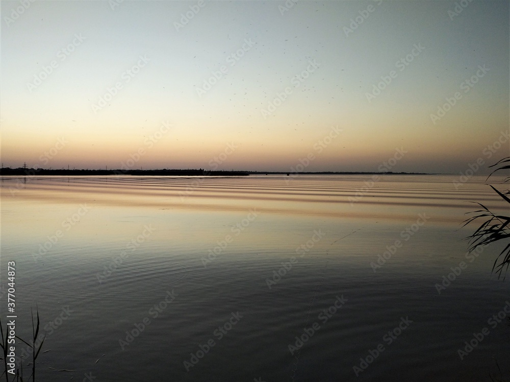 Fototapeta premium Water surface in the evening on the estuary