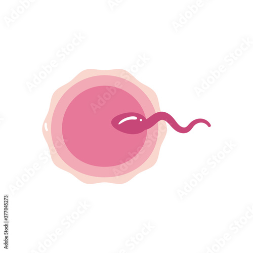 sperm and egg cell flat style icon vector design