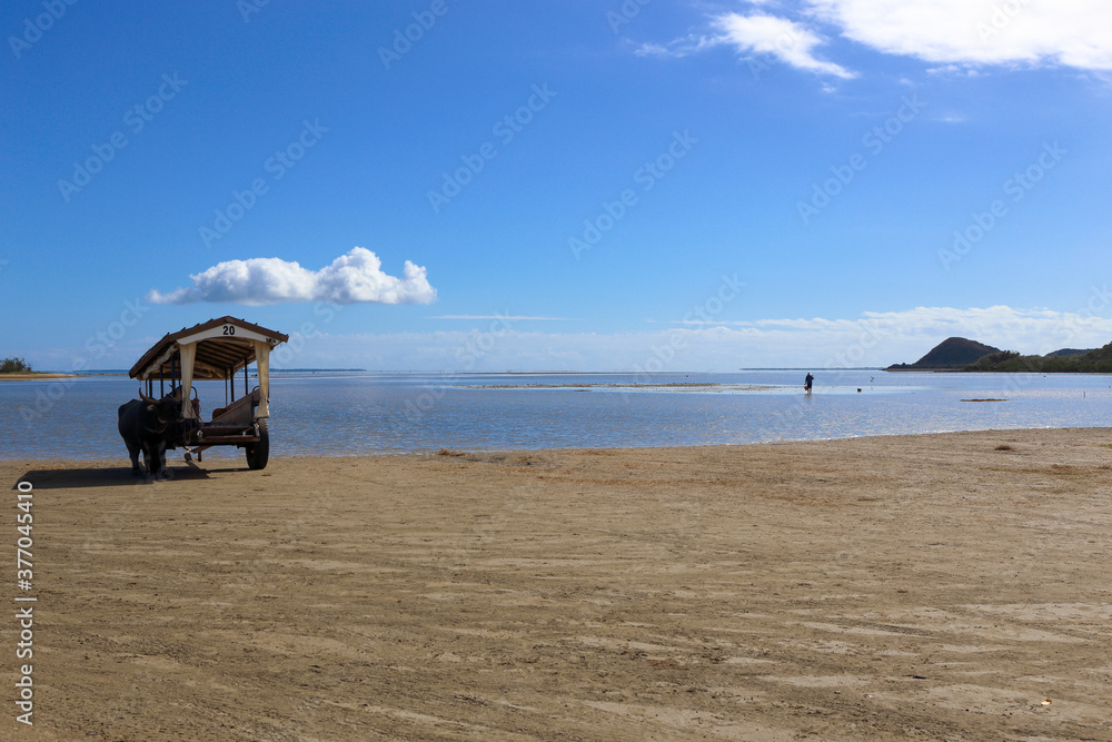 西表島〜由布島　水牛車