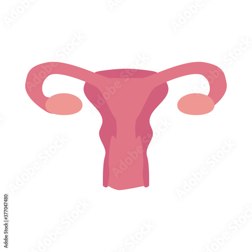 female reproductive system flat style icon vector design
