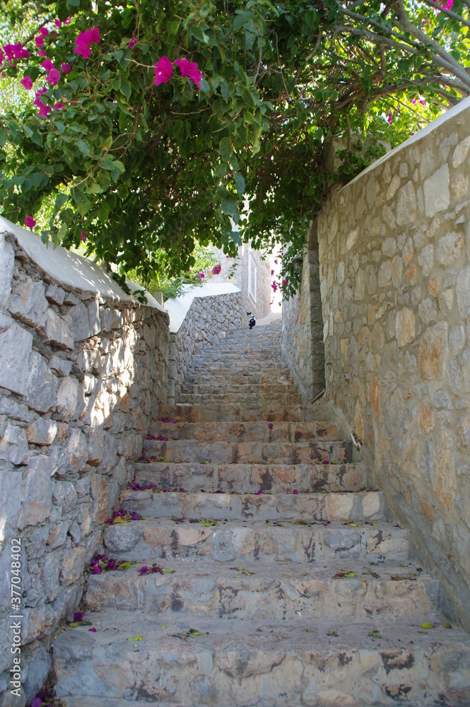 地中海（エーゲ海）ギリシャ、イドラ島
石段の細い通路