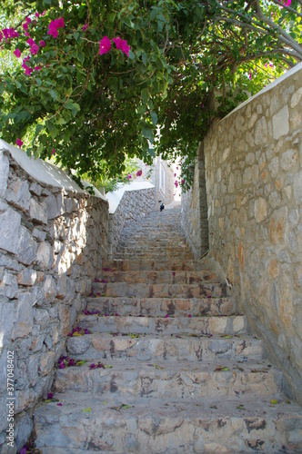 Fototapeta Naklejka Na Ścianę i Meble -  地中海（エーゲ海）ギリシャ、イドラ島
石段の細い通路