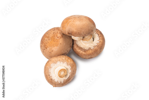 Tasty mushroom isolated on white background.