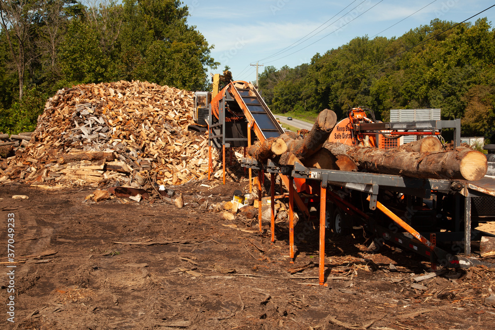 Logging site where trees from nearby forest are chopped and cut into ...