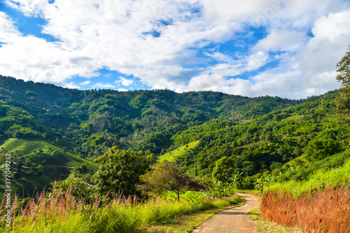 A hill with green tea gardens, roads, through the sky and clouds. landscape in the mountains