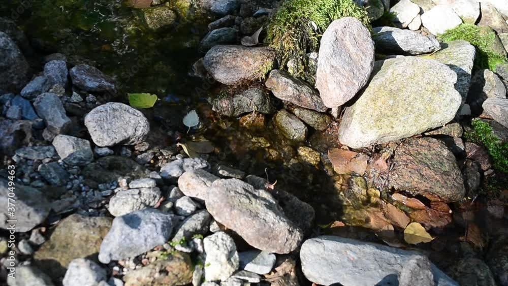 stones in the river stones in the river