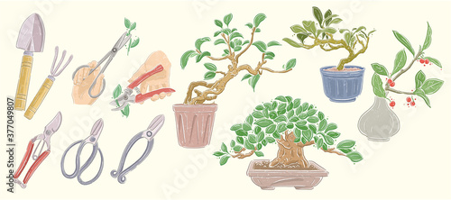 Vector illustration of gardening work, tools and plants