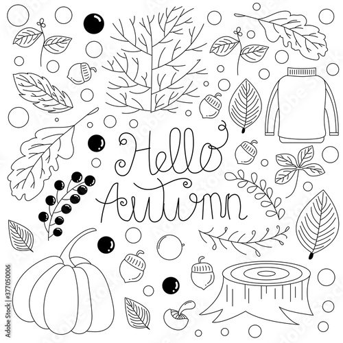 Sketchy vector hand drawn Doodle cartoon vector illustration.  autumn doodles