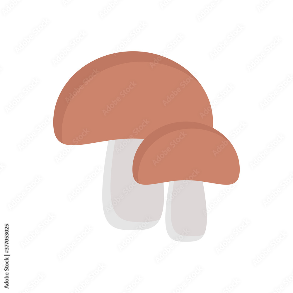 amanita amanita