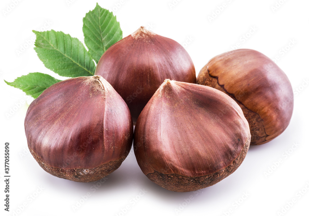 Raw peeled edible chestnut fruits isolated on white background. Raw peeled edible chestnut fruits isolated on white background.