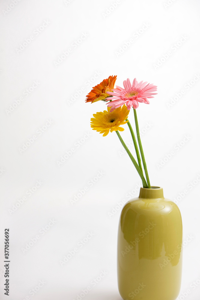 gerbera flowers in vase gerbera flowers in vase