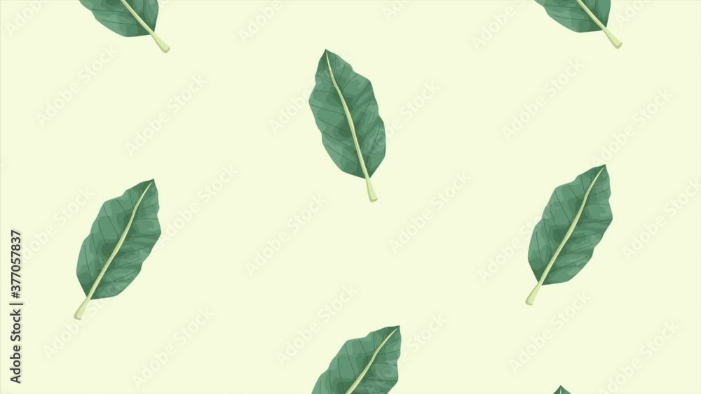 tropical exotics leafs ecology animation pattern background tropical exotics leafs ecology animation pattern background