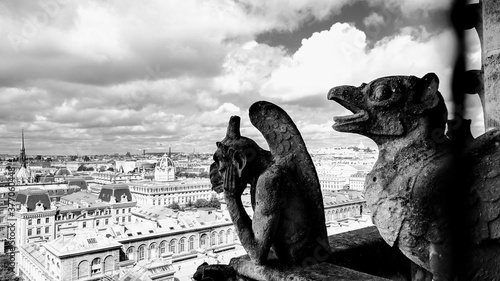 Gargoyles overlooking Paris 