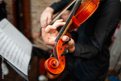 Music school for studing violin for beginners