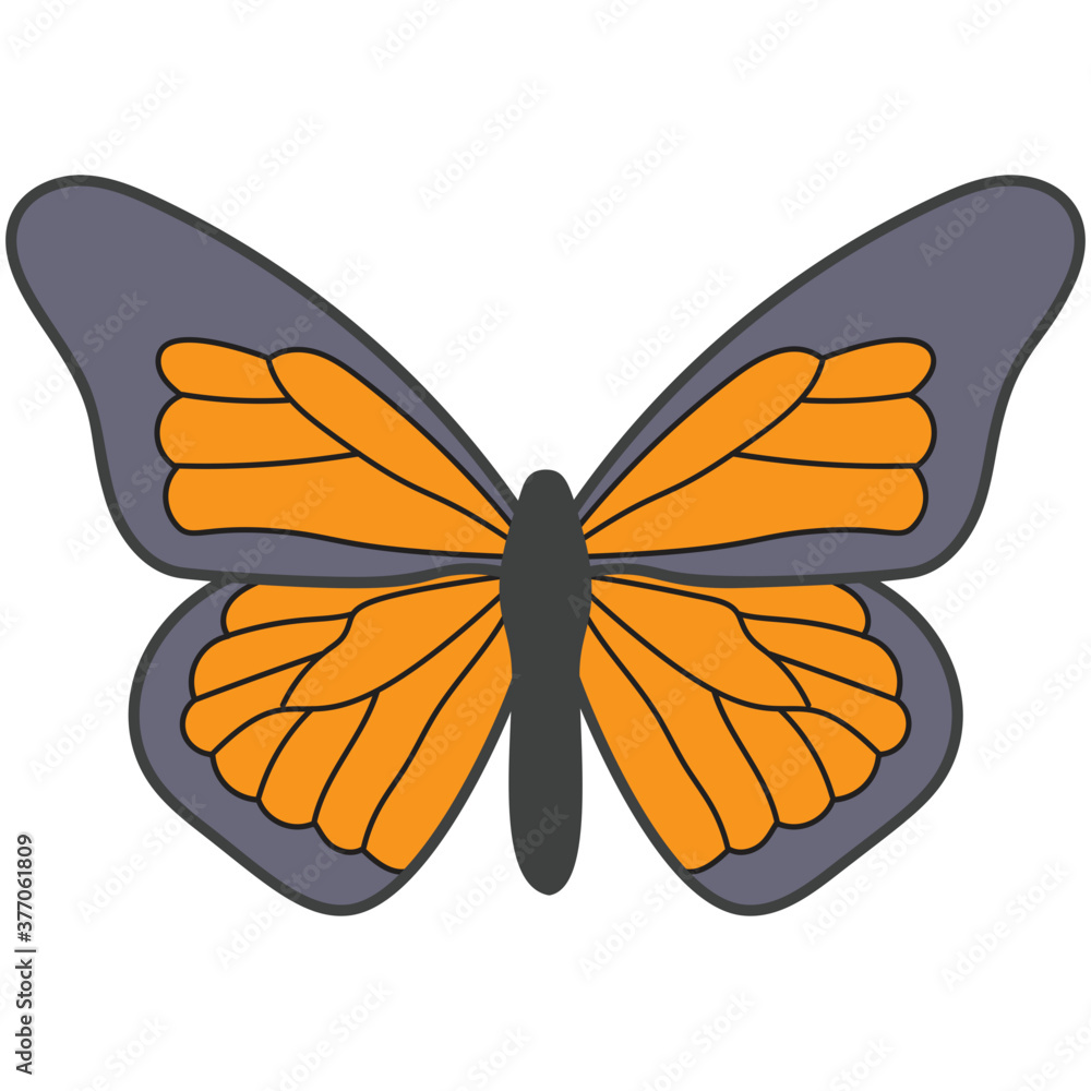 Butterfly Butterfly