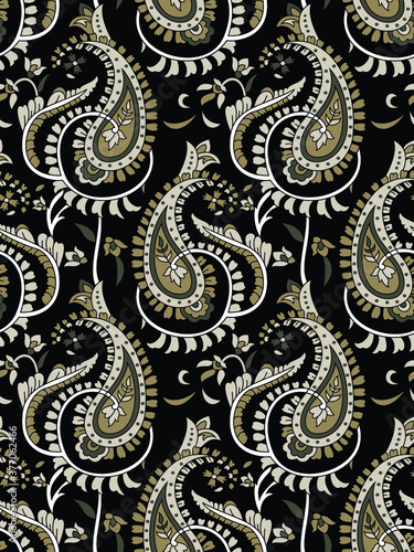 traditional Indian paisley pattern on black   background