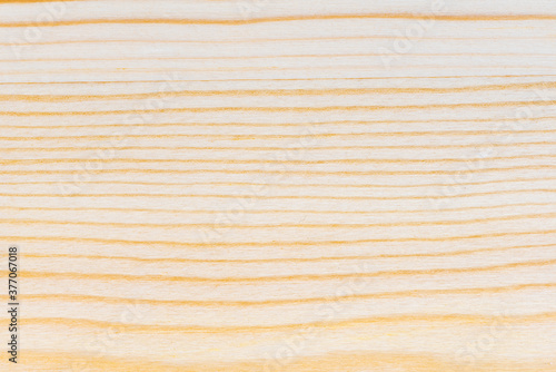 Close up natural surface wooden texture background. Elegant Design with Copy Space for placement your text or use as background