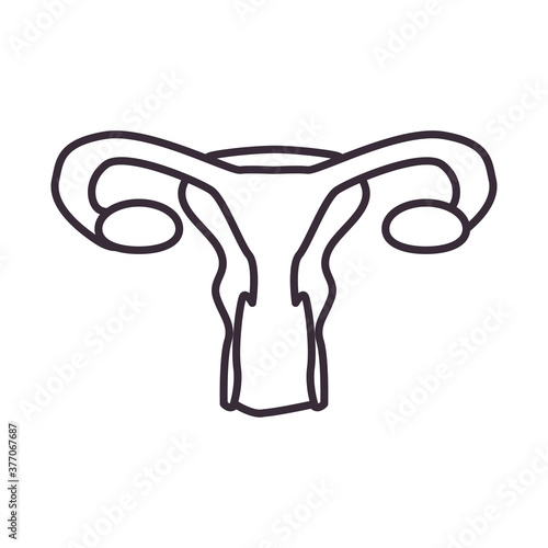 female reproductive system line style icon vector design