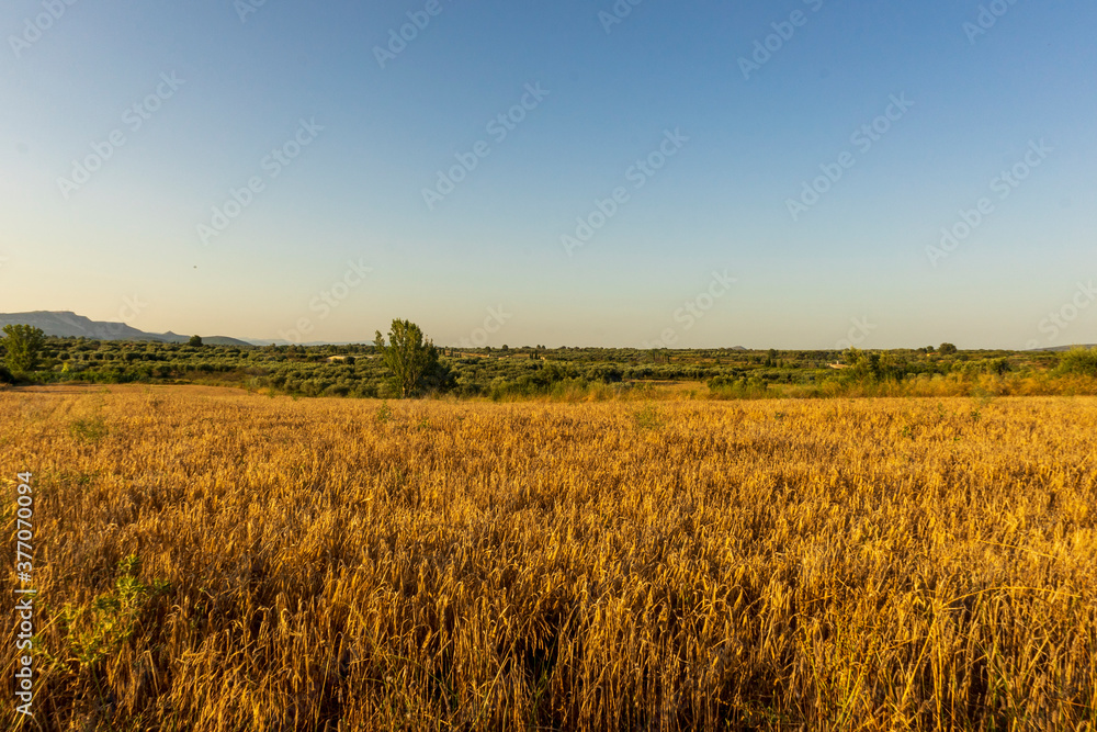 Tranquil scene at sunset in San Mateu Tranquil scene at sunset in San Mateu
