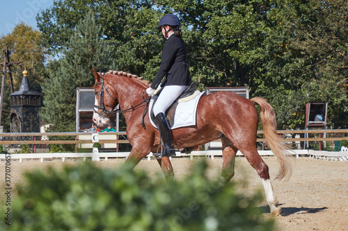 Rider in dressage competitions