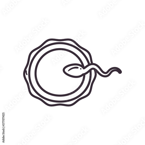 sperm and egg cell line style icon vector design