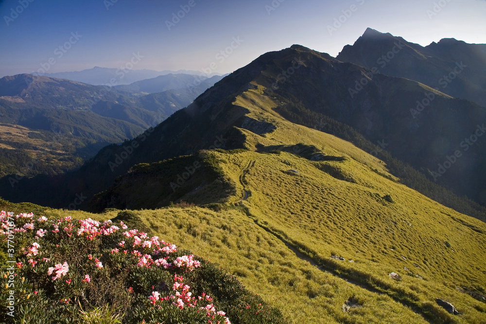 Obraz premium Qilai North Peak main ridge spring scene Taiwan