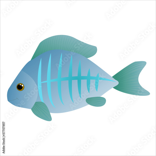 X-ray fish, transparent blue fish drawn in cartoon style. Vector illustration isolated on white background