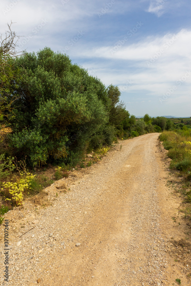 Landscape of the august way as it passes through Castellon Landscape of the august way as it passes through Castellon