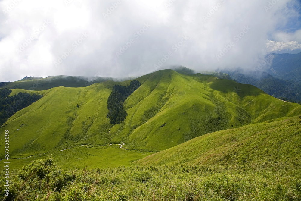 Fototapeta premium Bald Mountain Prairie Taiwan