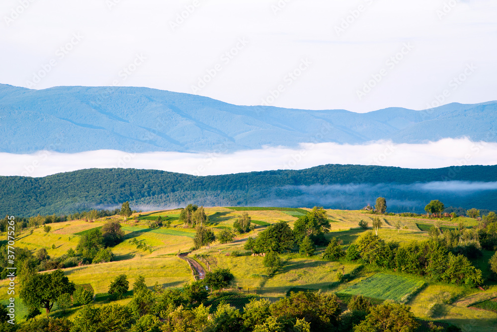 beautiful mountain landscape in summer. Blue sky with clouds in the morning over a distant ridge. forest on a hillside. 