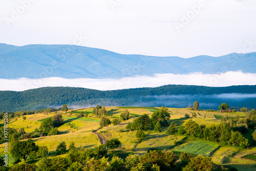 beautiful mountain landscape in summer. Blue sky with clouds in the morning over a distant ridge. forest on a hillside. 