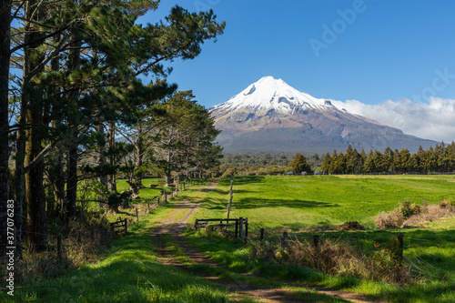 Picturesque farmland, Taranaki volcano and grazing horses, New Zealand
