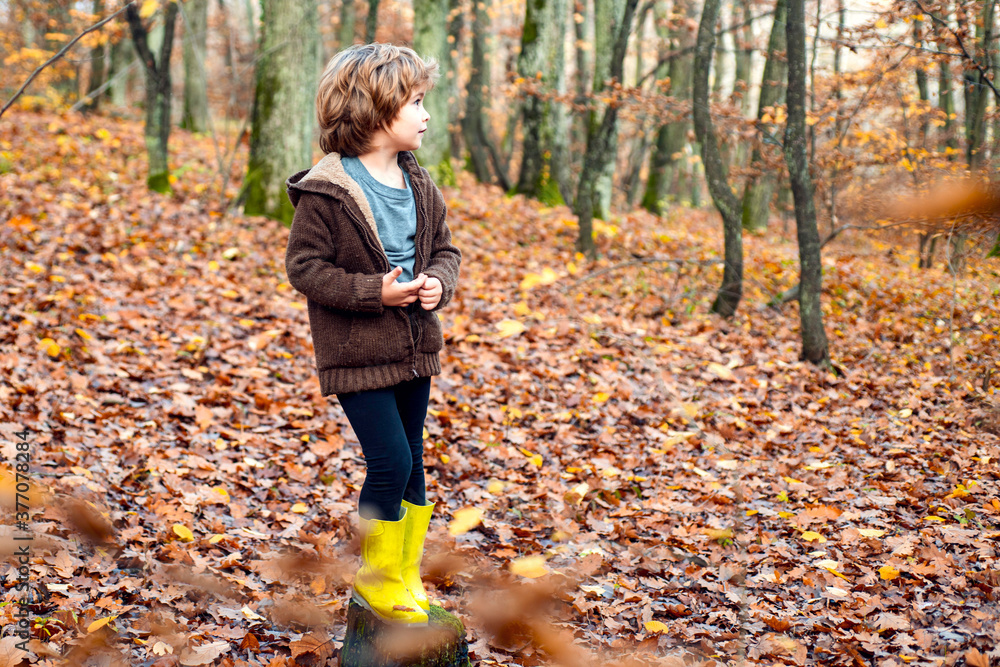 Autumn portrait of beautiful preschool boy in the park. Autumn portrait of beautiful preschool boy in the park.