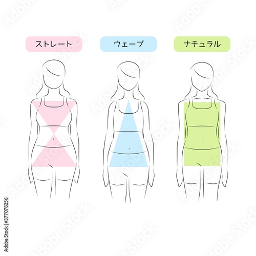 骨格タイプ診断のイラスト素材　ウェーブ　ストレート　ナチュラル