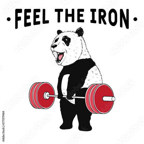 Panda weightlifter