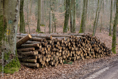 Ein Haufen von gesägtem Holz / Brennholz an einem Weg im Wald (Fortschwirtschaft / Holzwirtschaft)