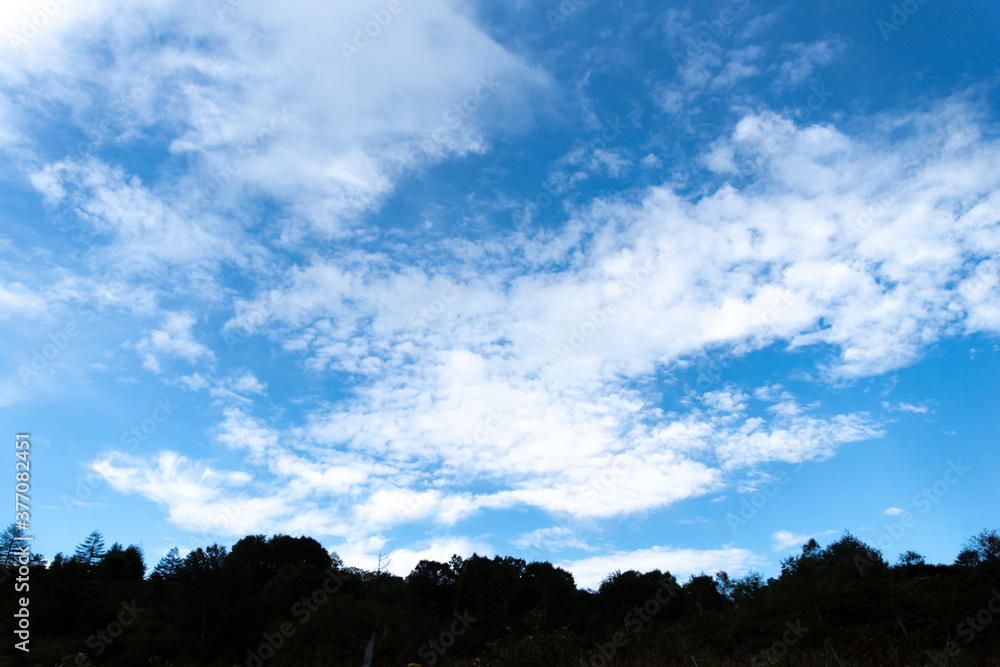 Obraz premium 気持ちいい青い空