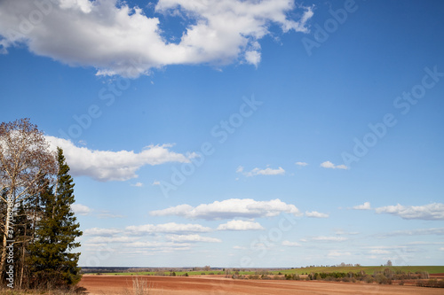 Fototapeta Naklejka Na Ścianę i Meble -  Spring landscape with white clouds on blue sky over yellow field with grass and forest in background