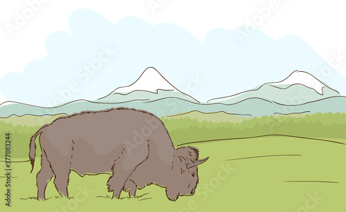 Vector illustration: Hand-drawn Mountains landscape with One buffalo. Line style. Landscape